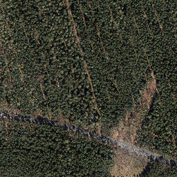 Satellite imagery of Rotes Kreuz, DE
