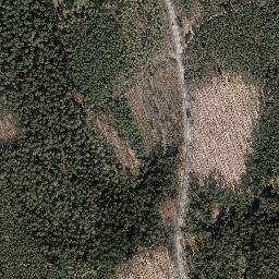 Satellite imagery of Auenberg, DE