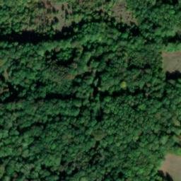 Satellite imagery of Bažantnice, CZ