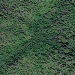 Satellite imagery of Horsford Point, CA