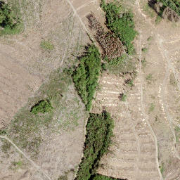 Satellite imagery of Alter Bornskopf, DE