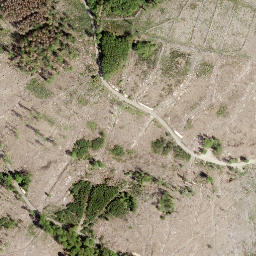Satellite imagery of Hachenburger Höhe, DE