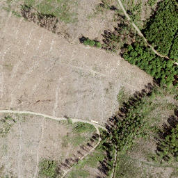 Satellite imagery of Kahlenberg, DE