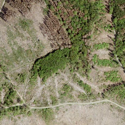 Satellite imagery of Kahlenberg, DE