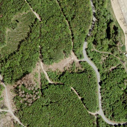 Satellite imagery of Igelshahn, DE