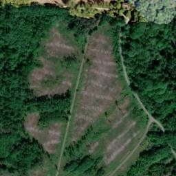 Satellite imagery of Hohenseelbachskopf, DE