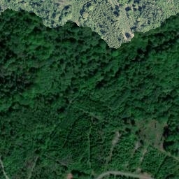 Satellite imagery of Hohenseelbachskopf, DE