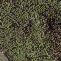 Satellite imagery of Heidenkopf, DE