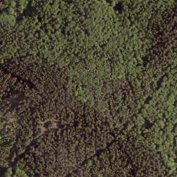 Satellite imagery of Heidenkopf, DE