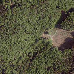 Satellite imagery of Heidenkopf, DE