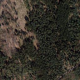 Satellite imagery of Trig point in Thuringia, DE, DE