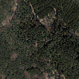 Satellite imagery of Trig point in Thuringia, DE, DE