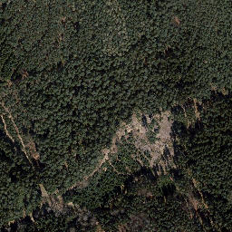 Satellite imagery of Trig point in Thuringia, DE, DE