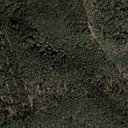 Satellite imagery of Trig point in Thuringia, DE, DE