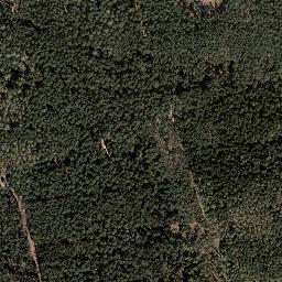 Satellite imagery of Rotes Kreuz, DE