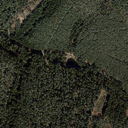 Satellite imagery of Dachsberg, DE