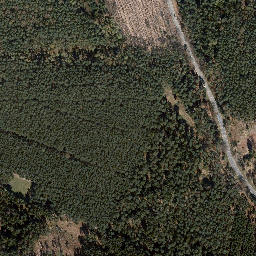 Satellite imagery of Dachsberg, DE