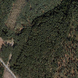 Satellite imagery of Dachsberg, DE