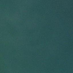 Satellite imagery of Trafford Point, CA