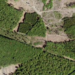 Satellite imagery of Alter Bornskopf, DE