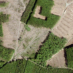 Satellite imagery of Alter Bornskopf, DE