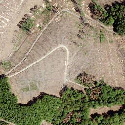 Satellite imagery of Alter Bornskopf, DE