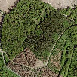 Satellite imagery of Hachenburger Höhe, DE