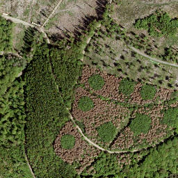 Satellite imagery of Kahlenberg, DE