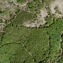 Satellite imagery of Kahlenberg, DE