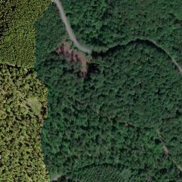 Satellite imagery of Igelshahn, DE