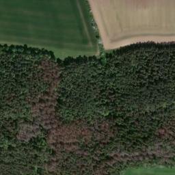 Satellite imagery of Büchenberg, DE