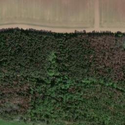 Satellite imagery of Büchenberg, DE