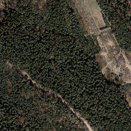 Satellite imagery of Trig point in Thuringia, DE, DE