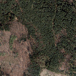 Satellite imagery of Trig point in Thuringia, DE, DE