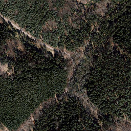 Satellite imagery of Trig point in Thuringia, DE, DE