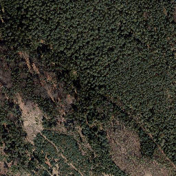 Satellite imagery of Trig point in Thuringia, DE, DE