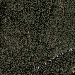 Satellite imagery of Dachsberg, DE