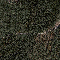 Satellite imagery of Dachsberg, DE