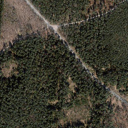 Satellite imagery of Dachsberg, DE