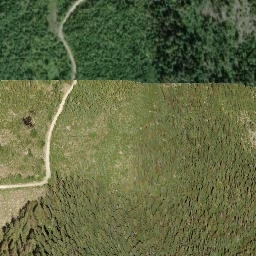 Satellite imagery of Mount Tappen, CA