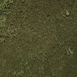 Satellite imagery of Mount Tappen, CA