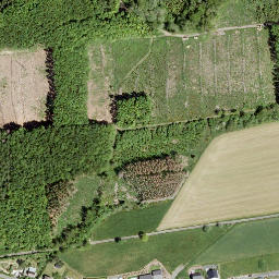 Satellite imagery of Steinerother Kopf, DE