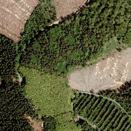 Satellite imagery of Höhwegskopf, DE