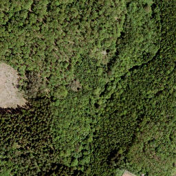 Satellite imagery of Höhwegskopf, DE