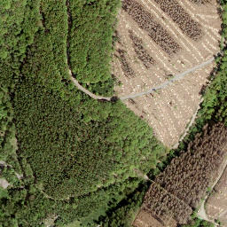 Satellite imagery of Igelshahn, DE