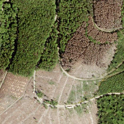 Satellite imagery of Igelshahn, DE
