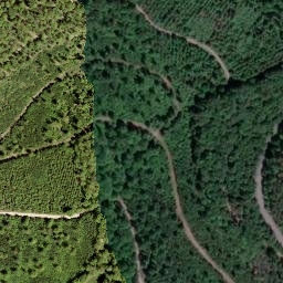 Satellite imagery of Igelshahn, DE