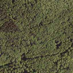 Satellite imagery of Frauenberg, DE