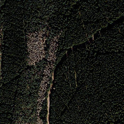 Satellite imagery of Ensebachskopf, DE
