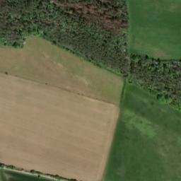 Satellite imagery of Büchenberg, DE